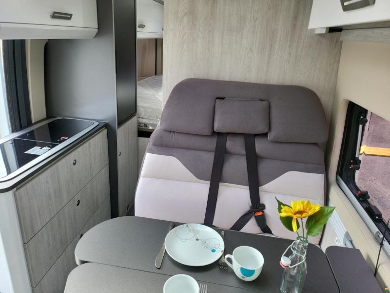 Roller Team Livingstone Duo XL Sport