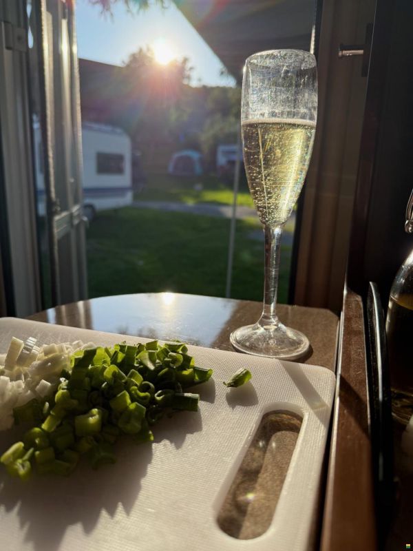 Roller Team Auto Roller