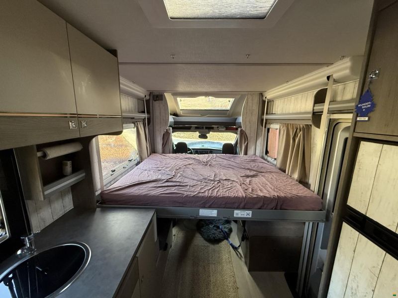 Challenger 260 Graphite Ultimate