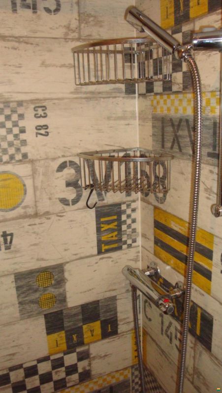 Wohnmobil / Wohnbus Mercedes Atego 818