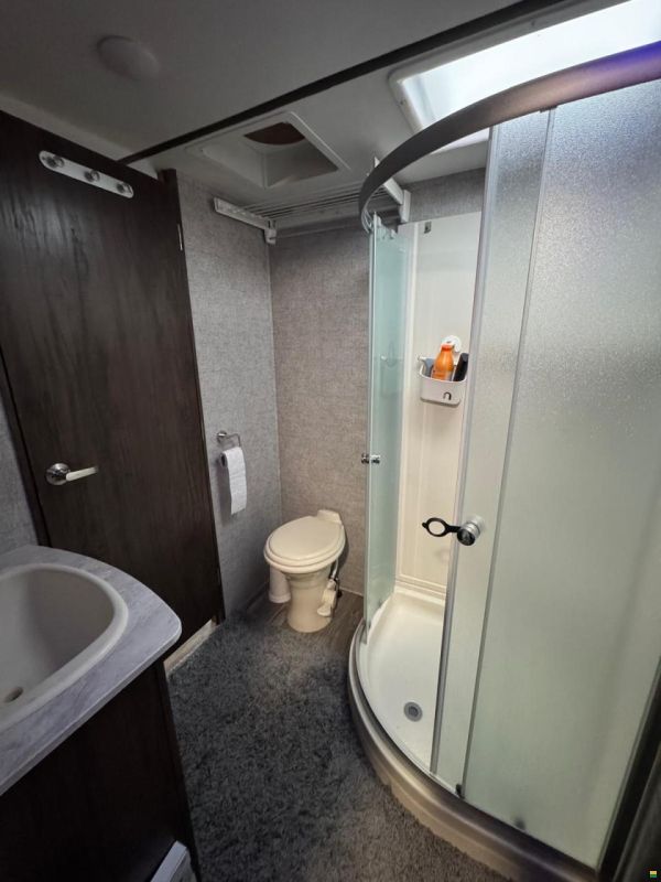 Forest River Artic Wolf