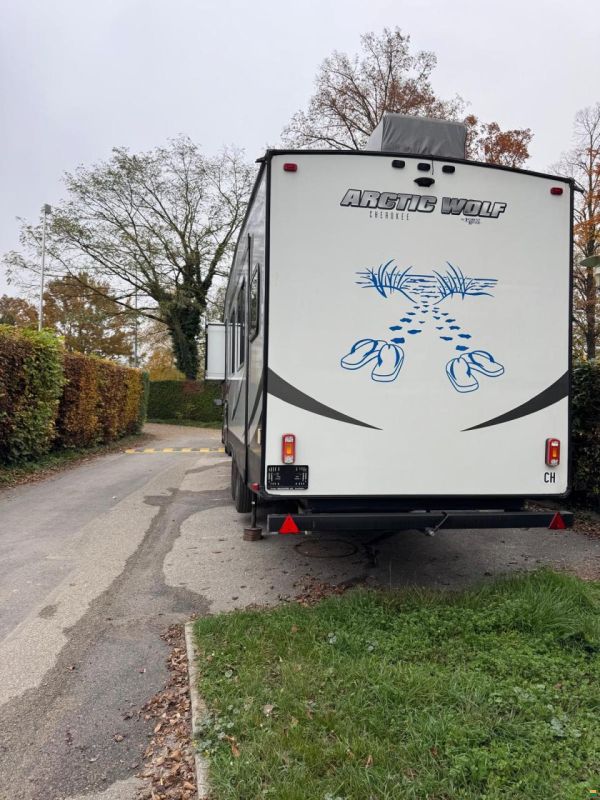 Forest River Artic Wolf