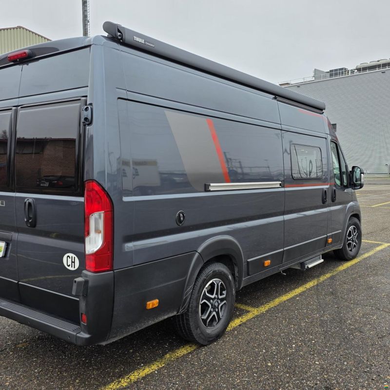 Roller Team Livingstone Duo Advance Automat 180PS