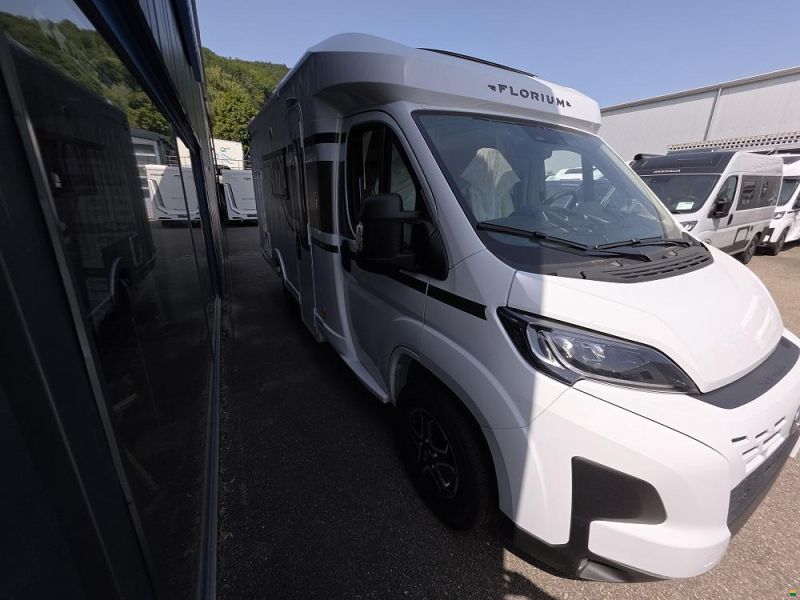 Fleurette Migrateur 64LG