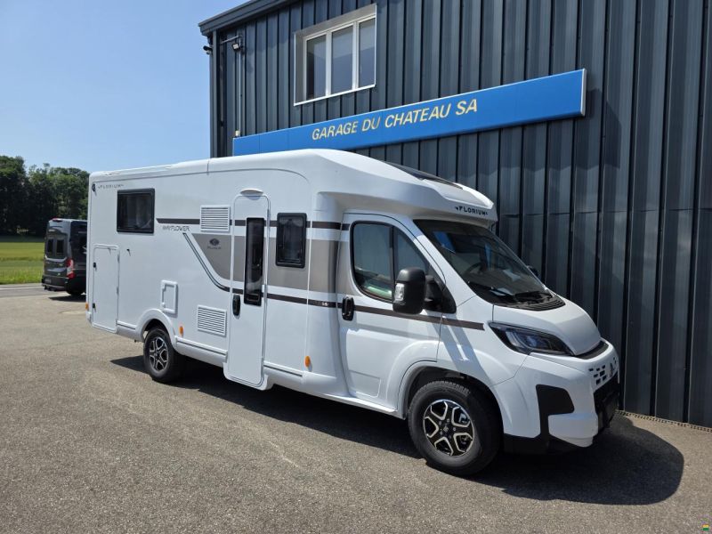 Fleurette Mayflower 70LMF Millenium
