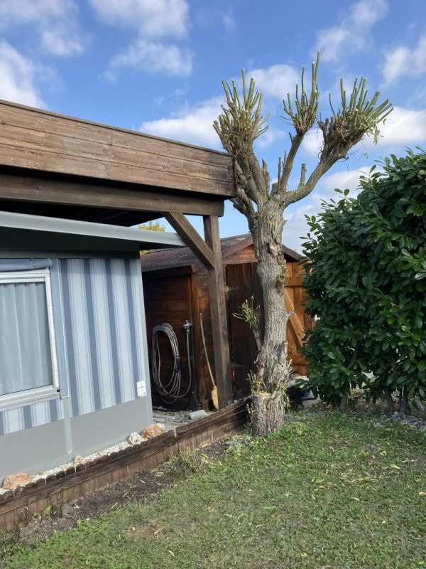 Hobby Prestige 610 UL