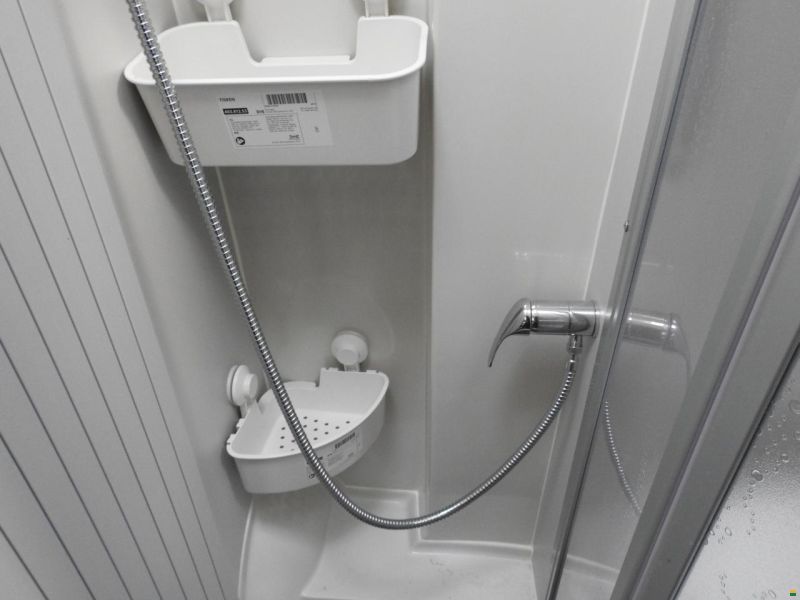 Renault Ahorn VAN 620