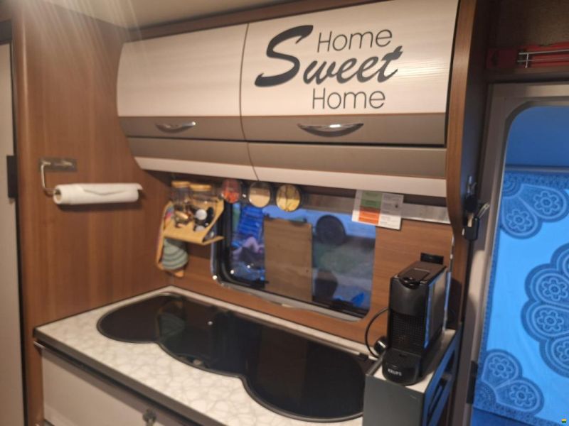 LMC VIVO Energy 533K