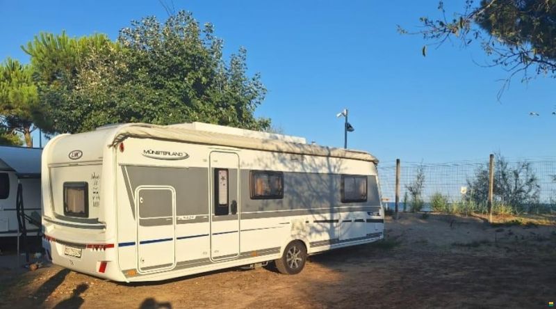 LMC VIVO Energy 533K