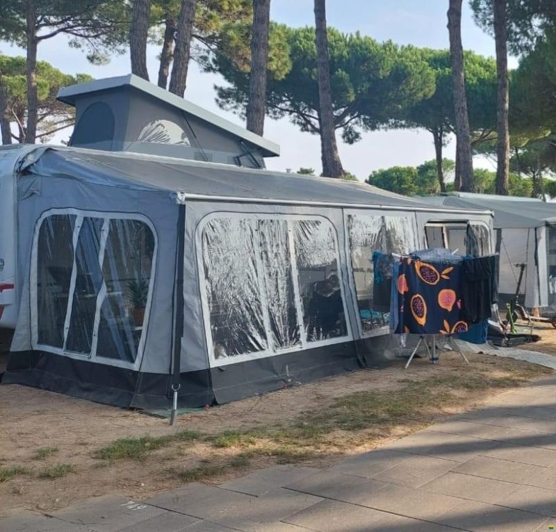 LMC VIVO Energy 533K