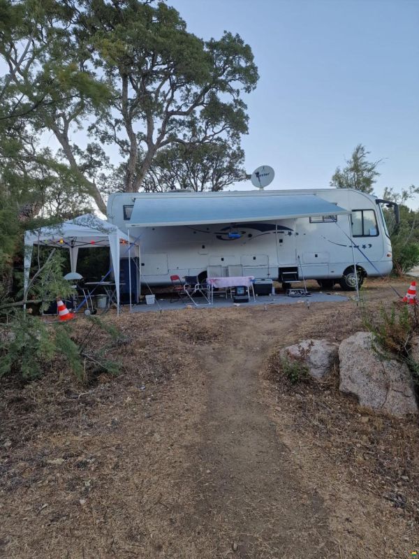 Phoenix Liner 9300 SG