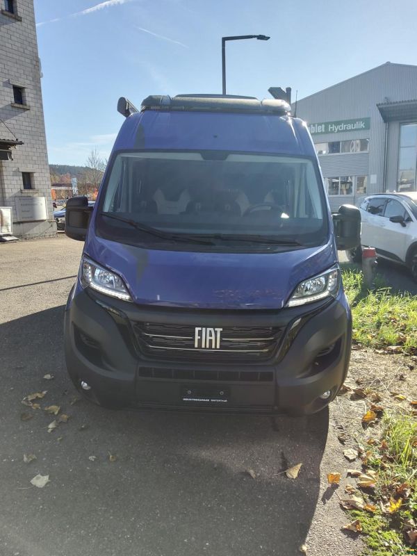 Robeta Womondo Lifestyle 600