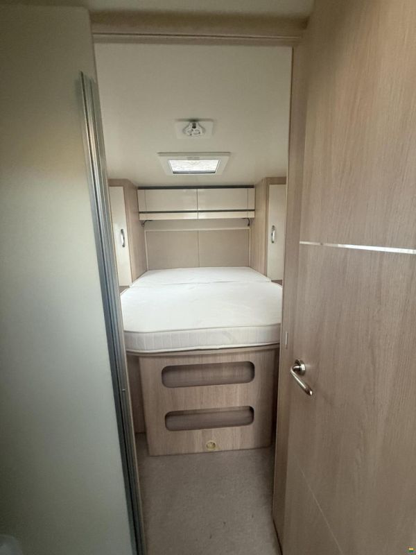 Giottiline Siena 397