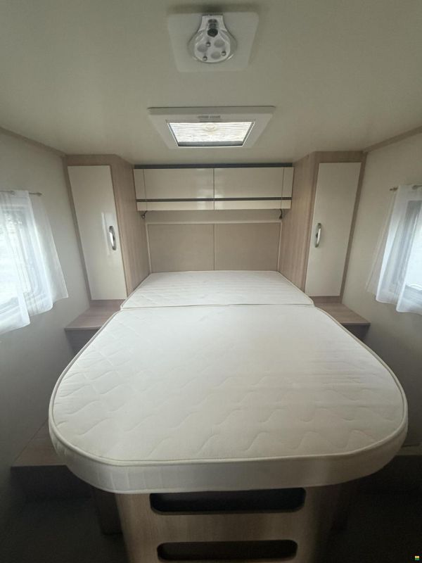 Giottiline Siena 397