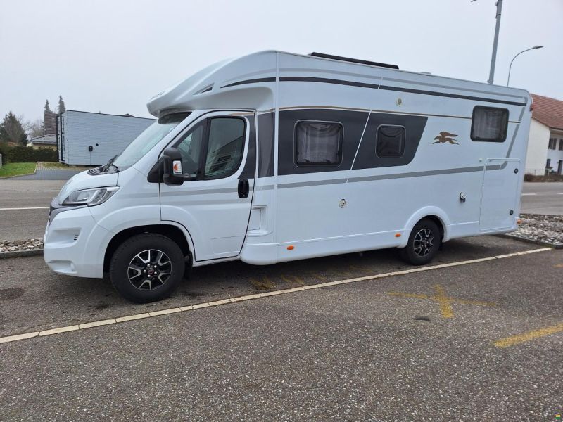 Laika Kosmo Emblema 509