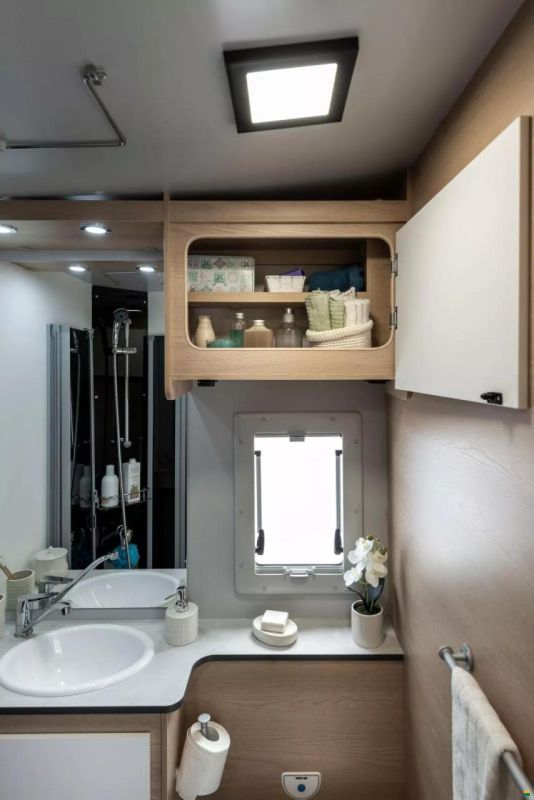 Giottiline Siena 485