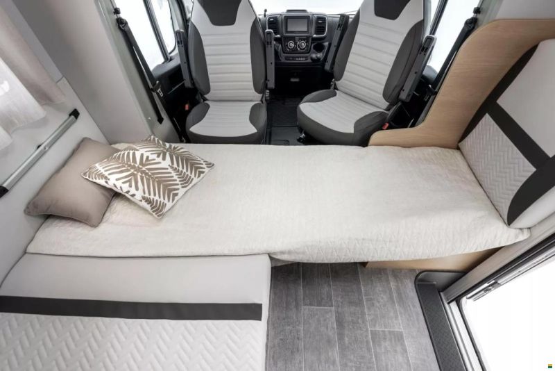 Giottiline Siena 485