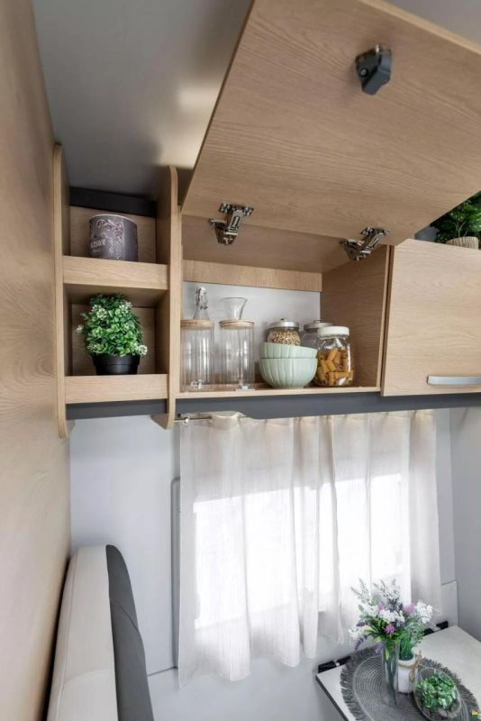 Giottiline Siena 485