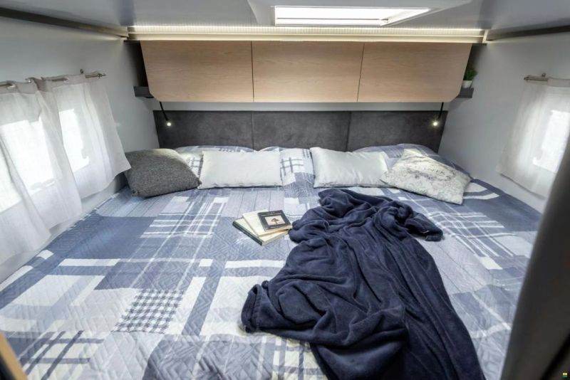 Giottiline Siena 485