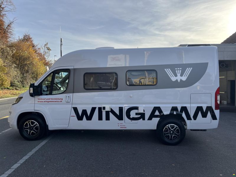 Wingamm City Pro