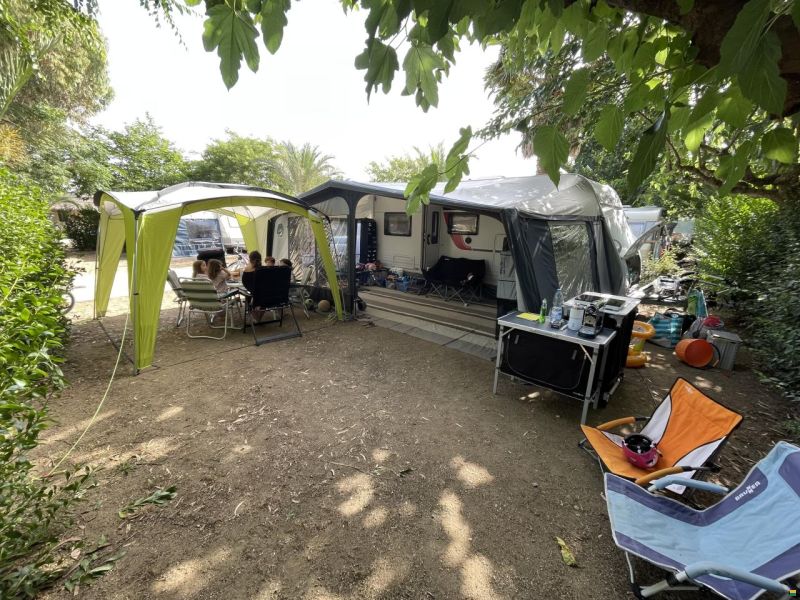 Bürstner Averso Plus TK 510