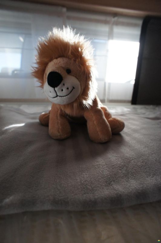 Knaus Südwind 540 FDK Black Selection