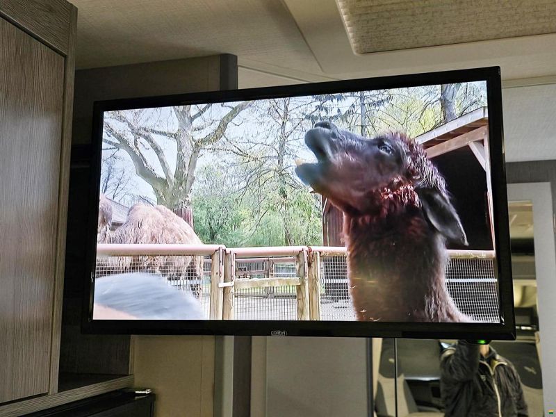 Challenger 260 GRAPHITE EDITION 2.0 TDCI AUTOMAT