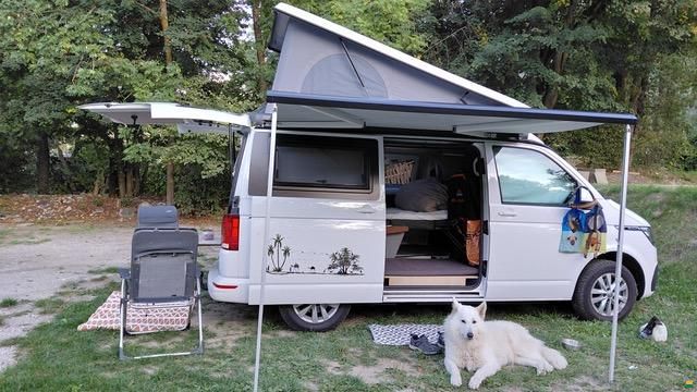 Campster VW-Campmobil, Bulli