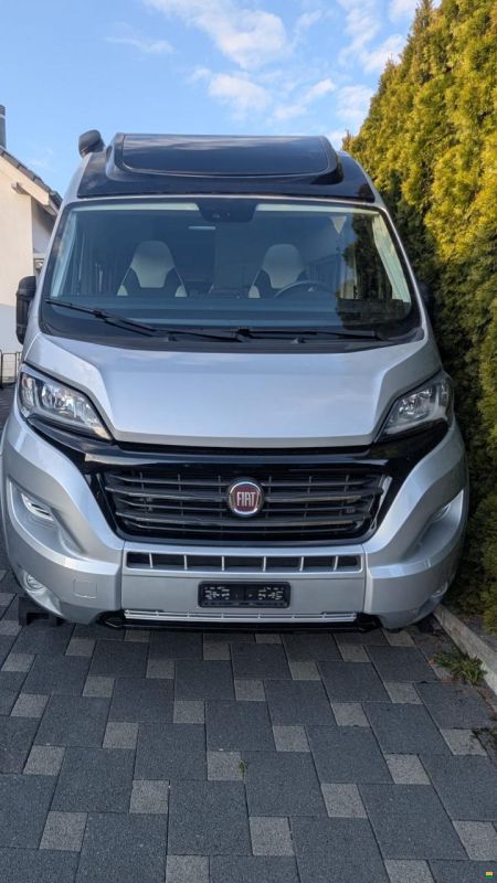 Roller Team Livingstone 5 Advance Maxx