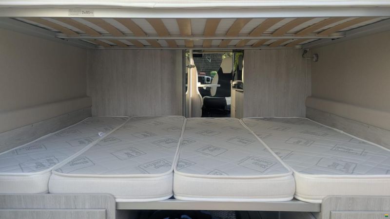 Roller Team Livingstone 5 Advance Maxx