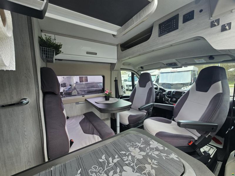 Roller Team Livingstone Duo Sport