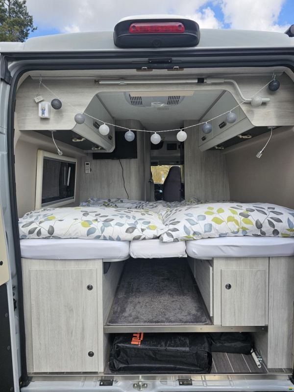 Roller Team Livingstone Duo Sport