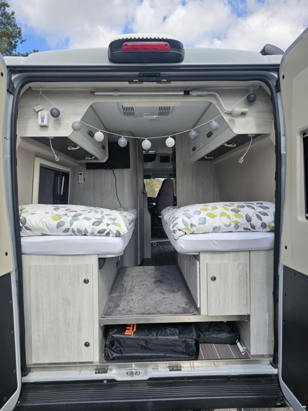 Roller Team Livingstone Duo Sport