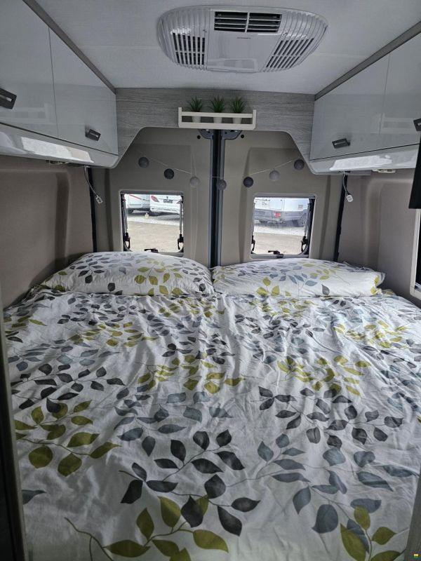 Roller Team Livingstone Duo Sport