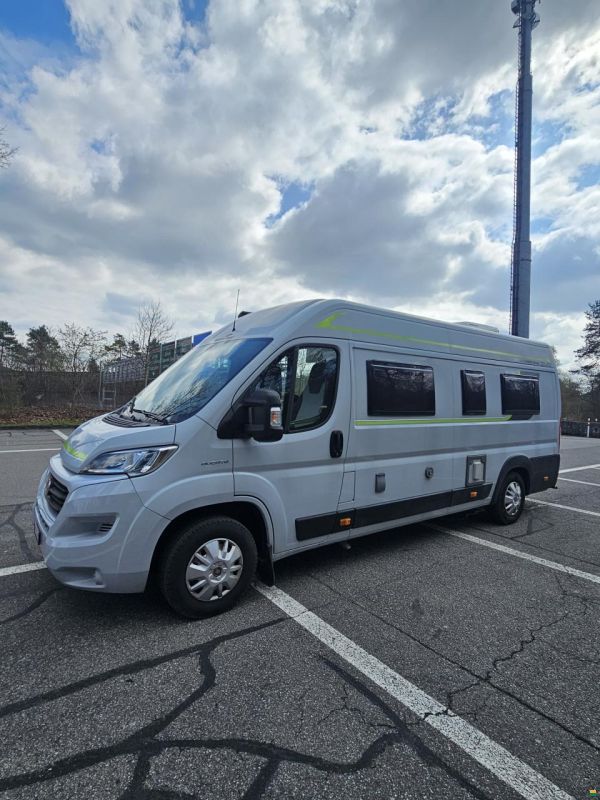 Roller Team Livingstone Duo Sport