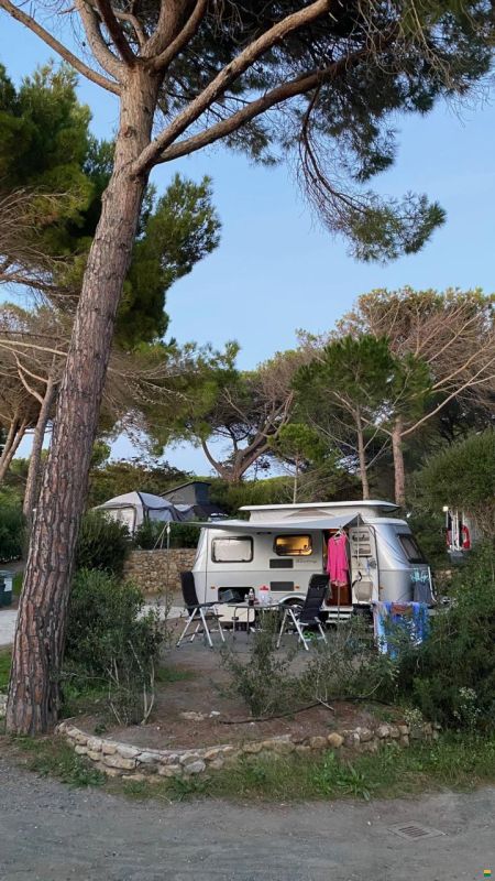 Hymer Eriba Troll 550