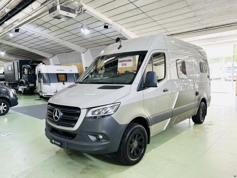 Mercedes Benz Budfellas