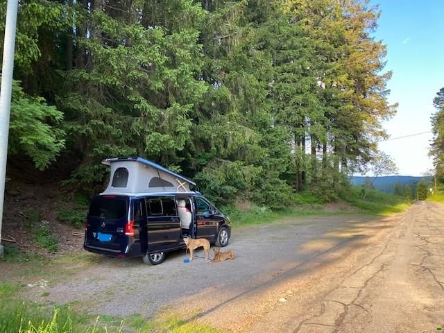 Westfalia Jules Verne