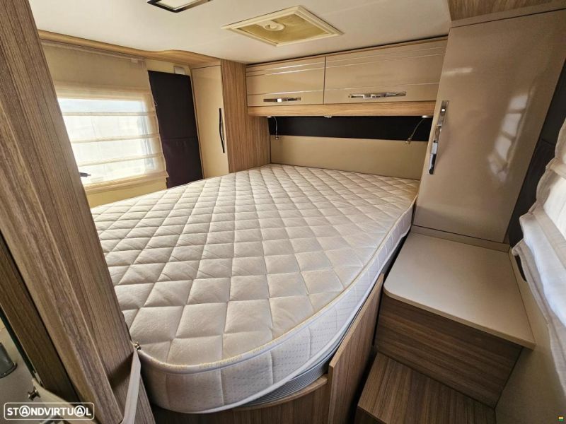 Roller Team Pegaso 266