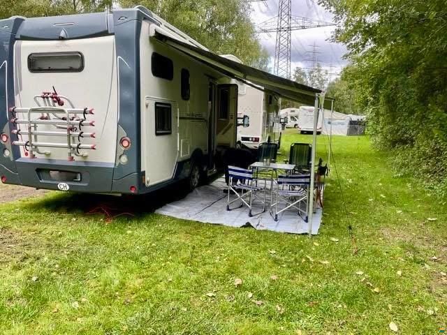 Roller Team Manifico