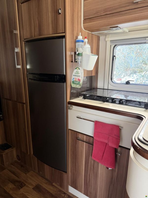 Roller Team Manifico