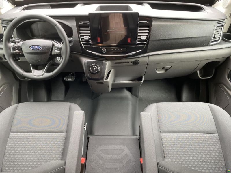Roller Team Kronos 295 TL, Ford 165PS Automat