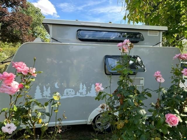 Trigano Silver 340