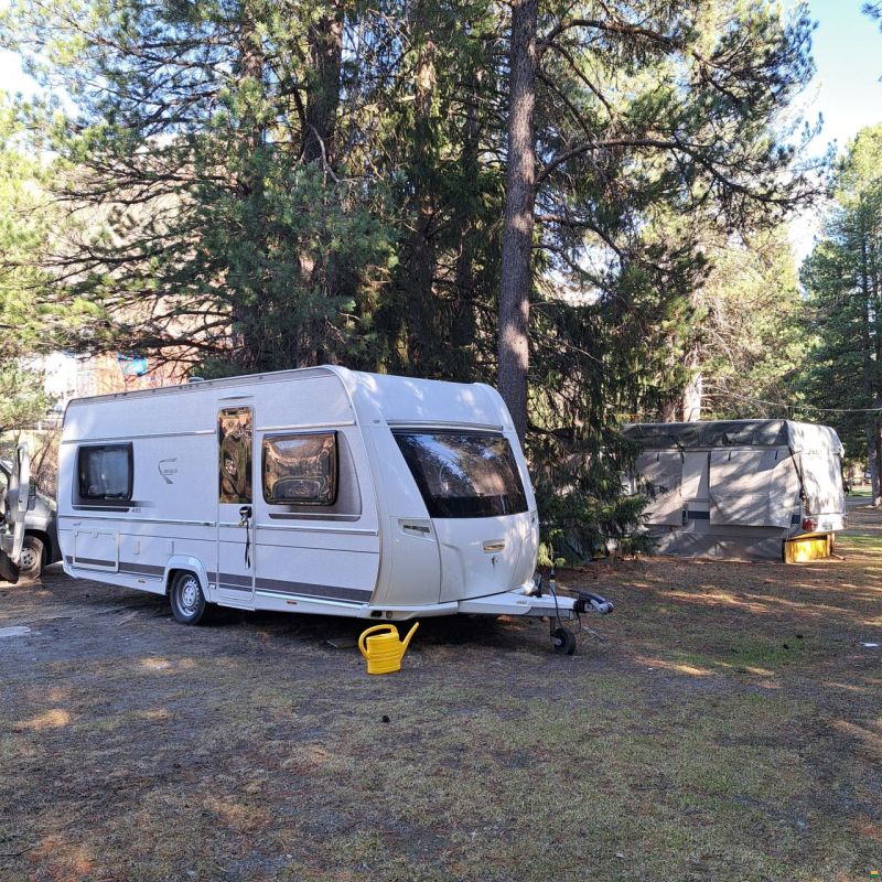 Bianco Activ 495 SFE