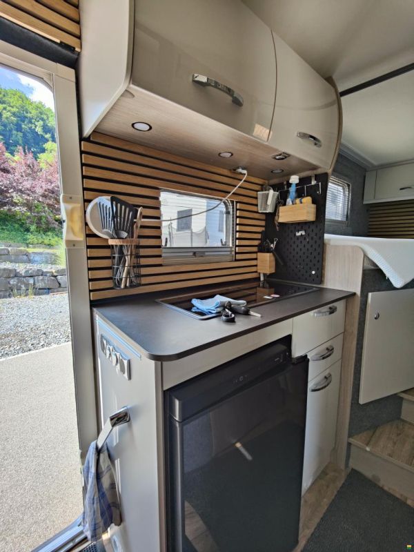 Bürstner Nexxo Van T620