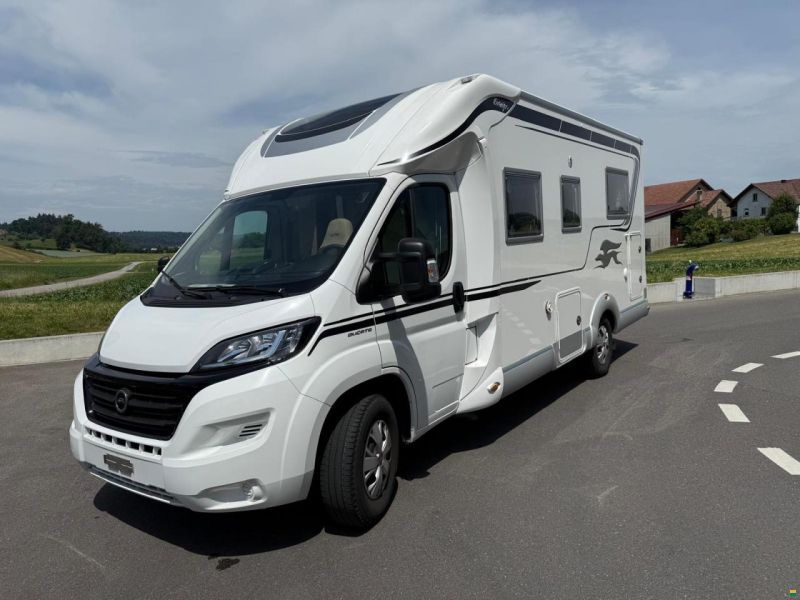 Laika Ecovip 312