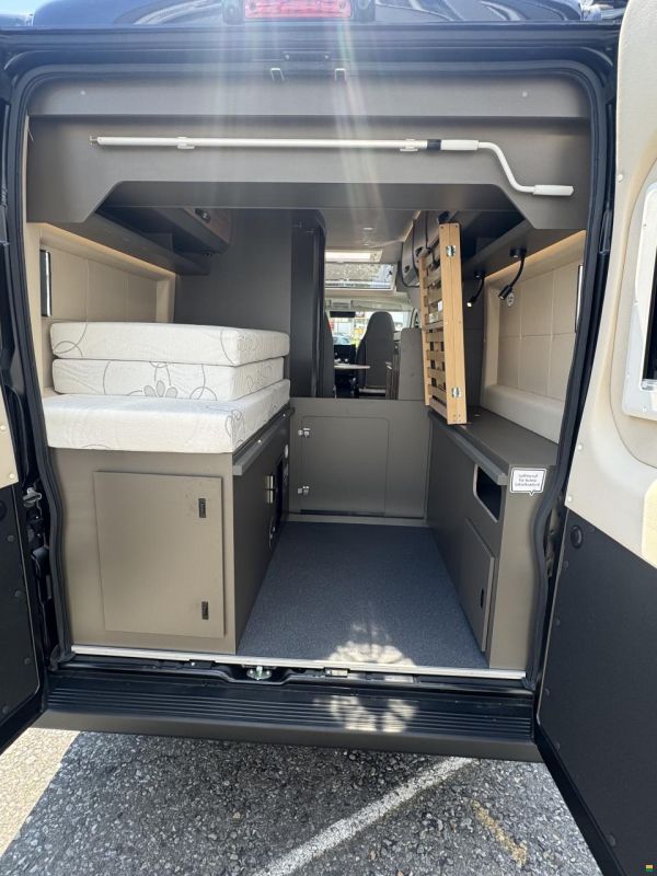 Bravia Mobil Swan 599