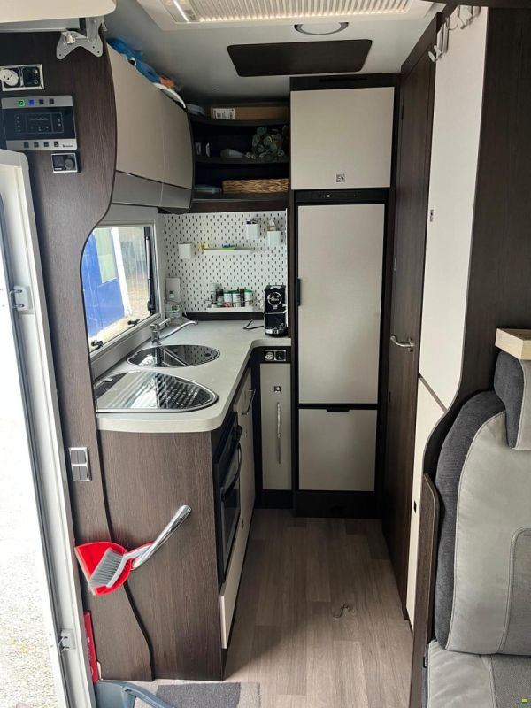 Benimar Tessoro 481