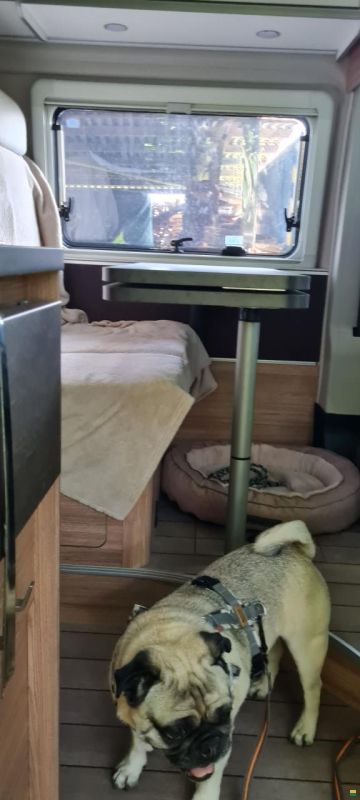 Fiat Ducato CaraBus 600 MQ