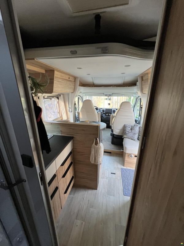 Pilote Pacific P696GJ Expression